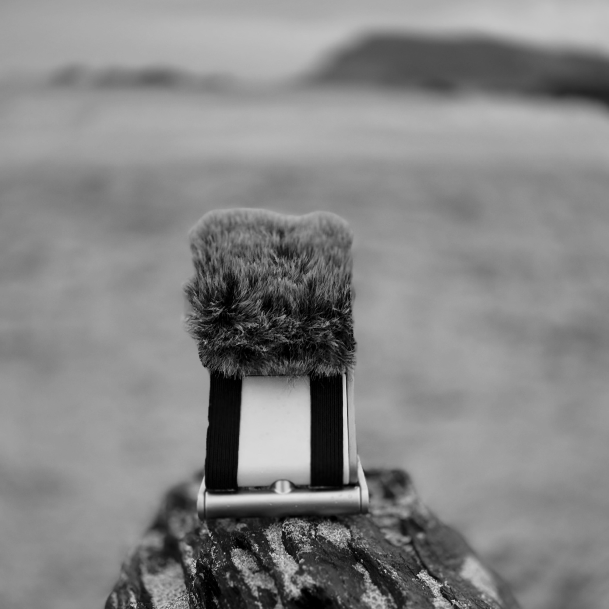 Field recording microphone capturing sound in natural space